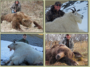 Pictures from mountain goat hunts